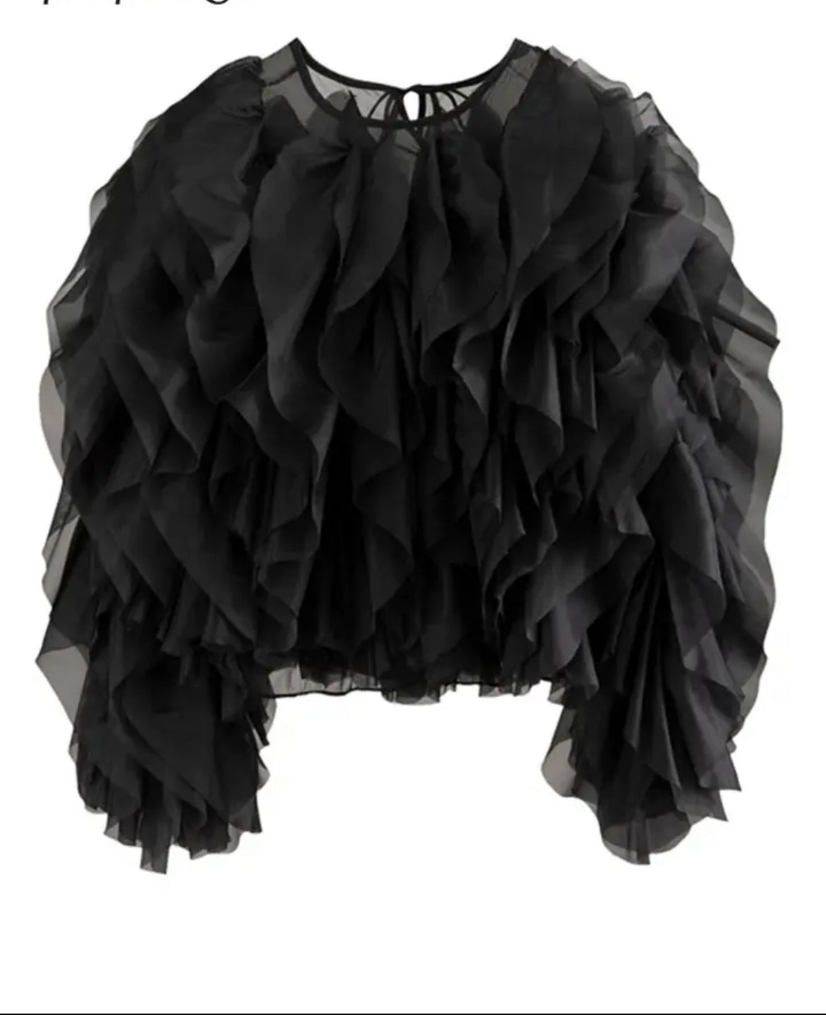 Ruffled Mesh Blouse